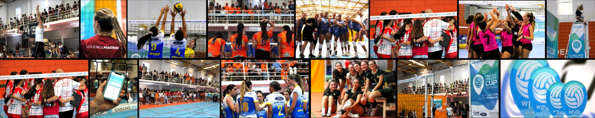 Mosaic of competition images